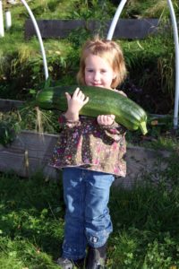 Zucchini kid lr